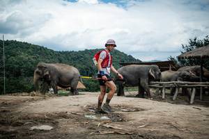 BIB: 
                            <button type="button" onclick="openModal(22423323)" class="btn btn-primary btn-sm float-right btn-popup" data-toggle="modal" data-target=".modal-high-quality">
                        <i class="fas fa-shopping-cart"></i> Add to Cart
                    </button>
                                            <button type="button" onclick="isThisMe(22423323, true)" class="btn btn-success btn-sm float-right btn-popup btn-isme hidden" data-toggle="tooltip" data-placement="bottom" title="นี่คือรูปของคุณใช่ไหม คลิกที่นี่เพื่อเอาเข้าอัลบั้ม">
                        <i class="fas fa-plus"></i> Add to album
                    </button>
                    <button type="button" onclick="isThisMe(22423323, false)" class="btn btn-warning btn-sm float-right btn-popup btn-isnotme hidden">
                        <i class="fas fa-ban"></i> Remove from album
                    </button>